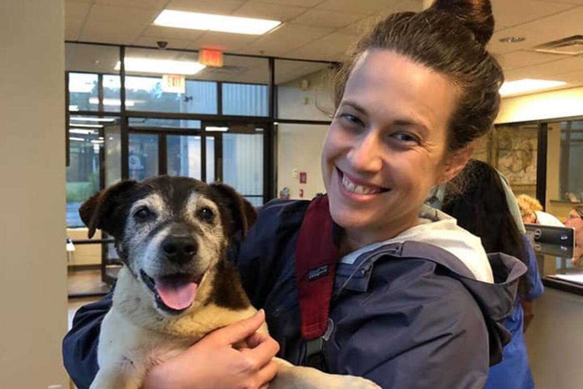 Encuentra a su perro extraviado hace 5 años en EU