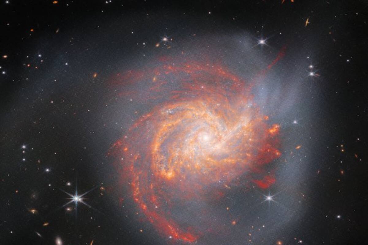 La Nasa comparte la imagen de una rosa cósmica este san Valentín