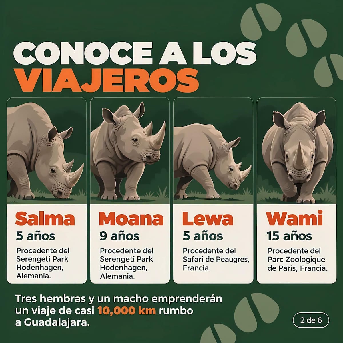 FB ZOOLOGICO GUADALAJARA