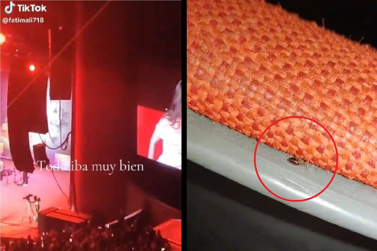 VIDEO: Captan plaga de chinches en el Auditorio Nacional durante concierto