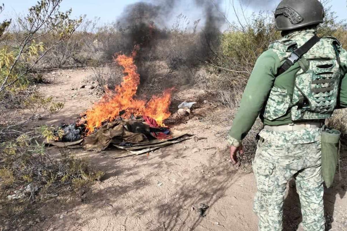 Desmantelan puntos de halconeo en el Sásabe y Douglas
