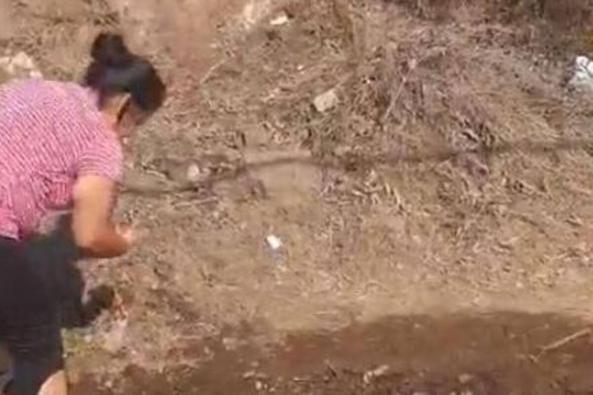 Reportan al menos cuatro fugas de agua en Santa Anita