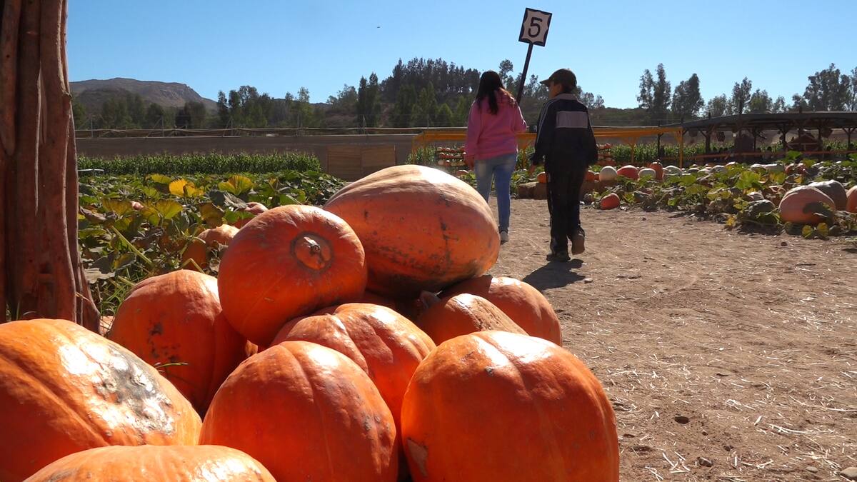 Foto: Leonardo González