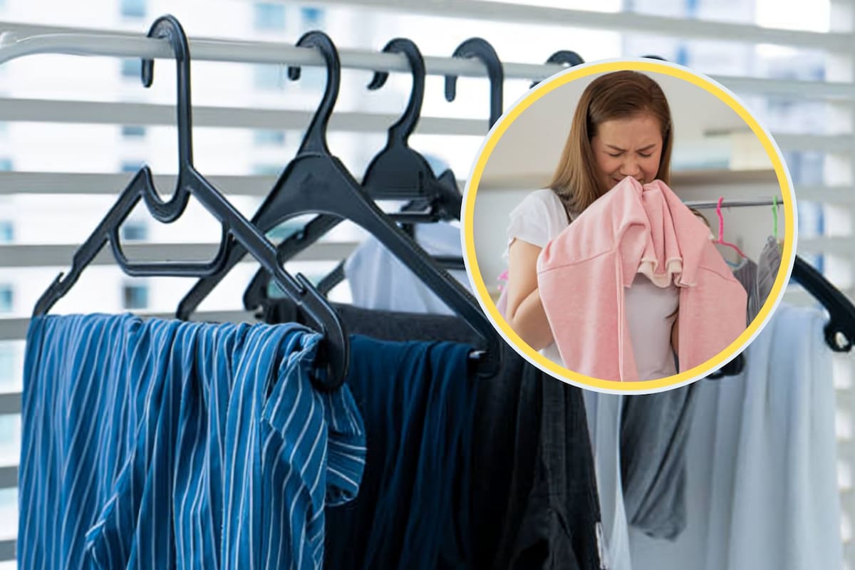 Elimina el olor a humedad de la ropa fácil y rápido con estos consejos