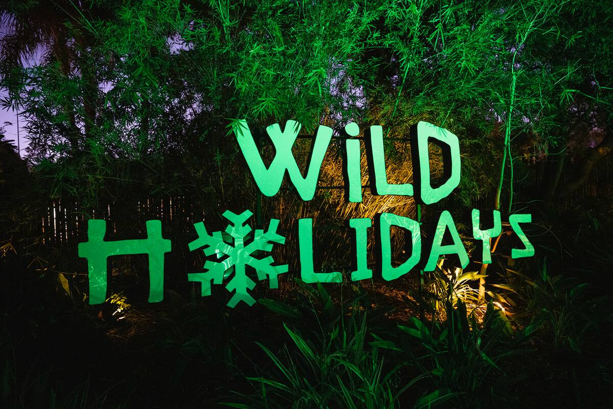 San Diego Zoo Safari Park está ubicado a unos 30 minutos al Norte del Zoológico de San Diego en la ciudad de Escondido.