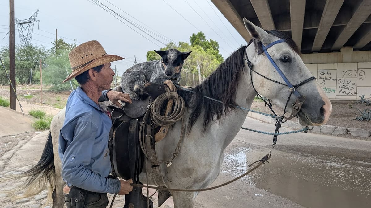 Foto: Julián Ortega