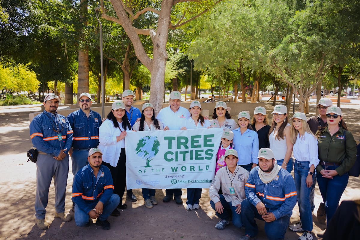 Hermosillo recibe por segundo año distintivo Tree Cities of the World por su arbolado urbano