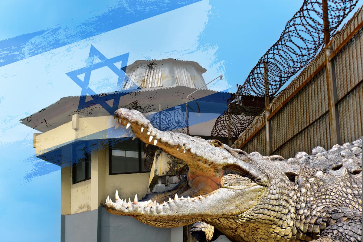Tribunal frena plan de ministro de Seguridad Nacional de Israel, Itamar Ben-Gvir de usar cocodrilos en prisión que mantiene detenidos a palestinos