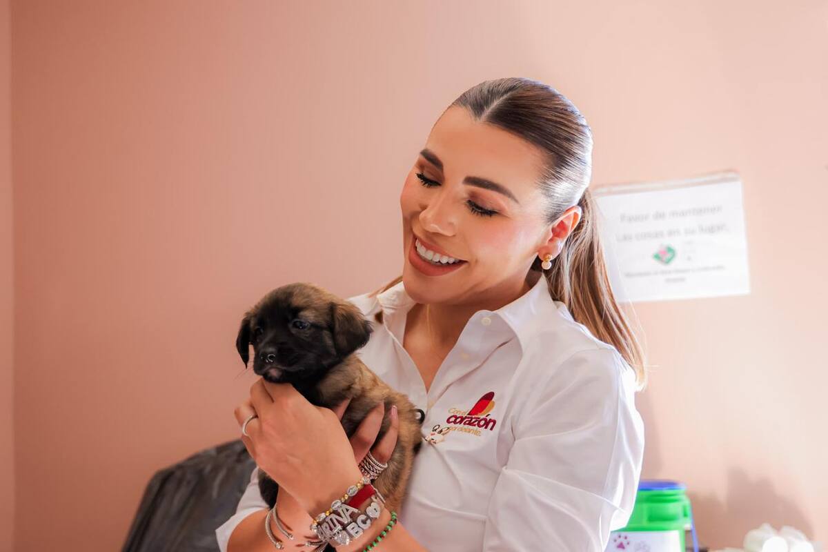 Reconocen a animales como seres sintientes por iniciativa de Marina
