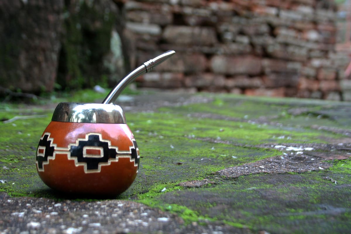 El "oro verde" yerba mate, que nutre los paisajes del noreste argentino