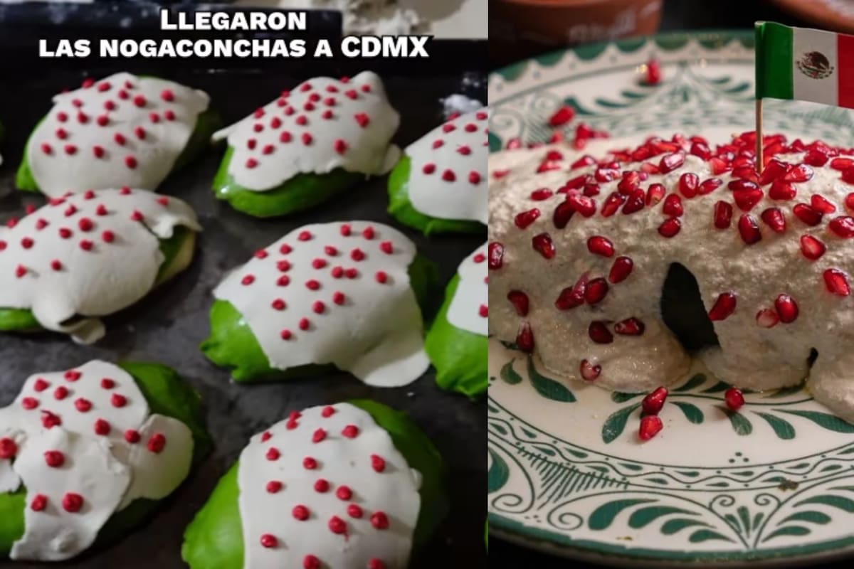 Ahora llegan las nogaconchas, las conchas de pan dulce con chile en nogada: ¿De dónde viene este platillo?
