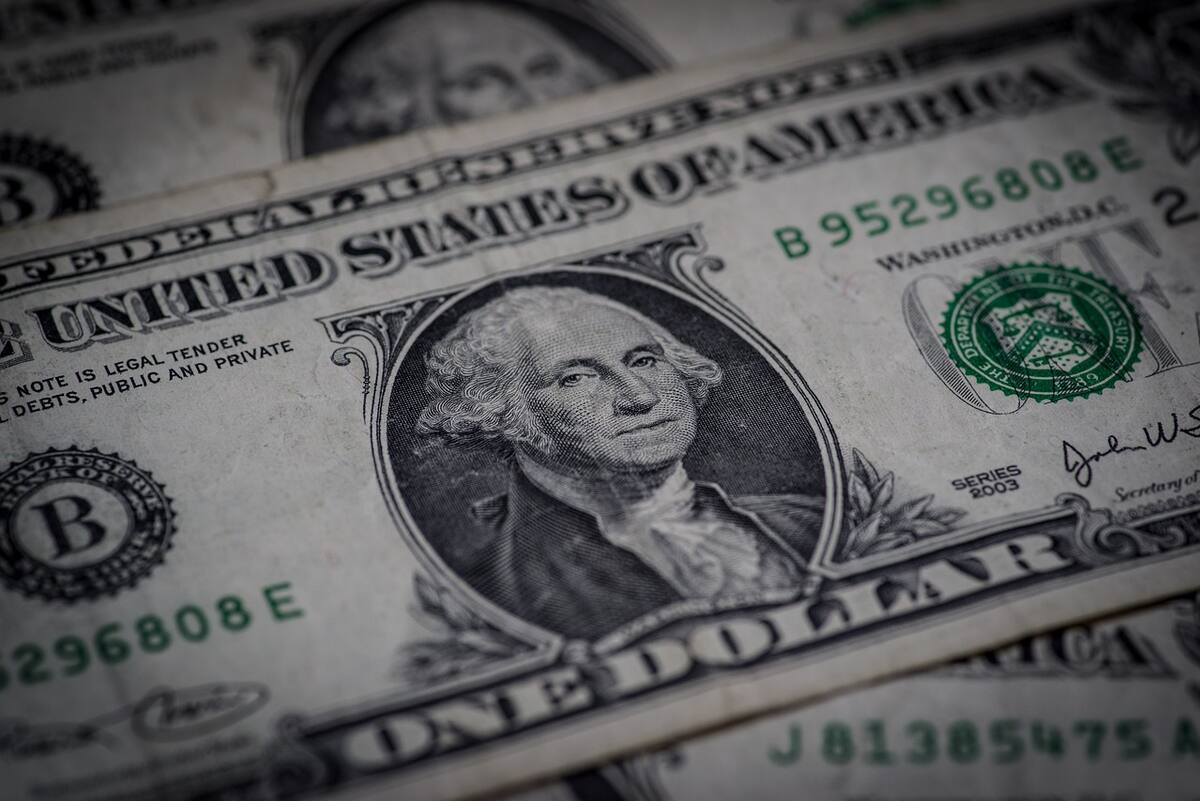 El dólar se recupera frente al peso mexicano. l Foto: Pixabay