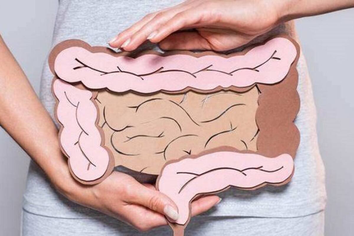 Así las células intestinales ayudan al sistema inmunológico