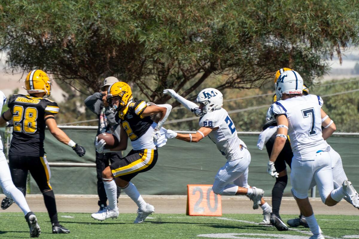 Monaguillos y Zorros buscarán seguir enrachados dentro de OEFA