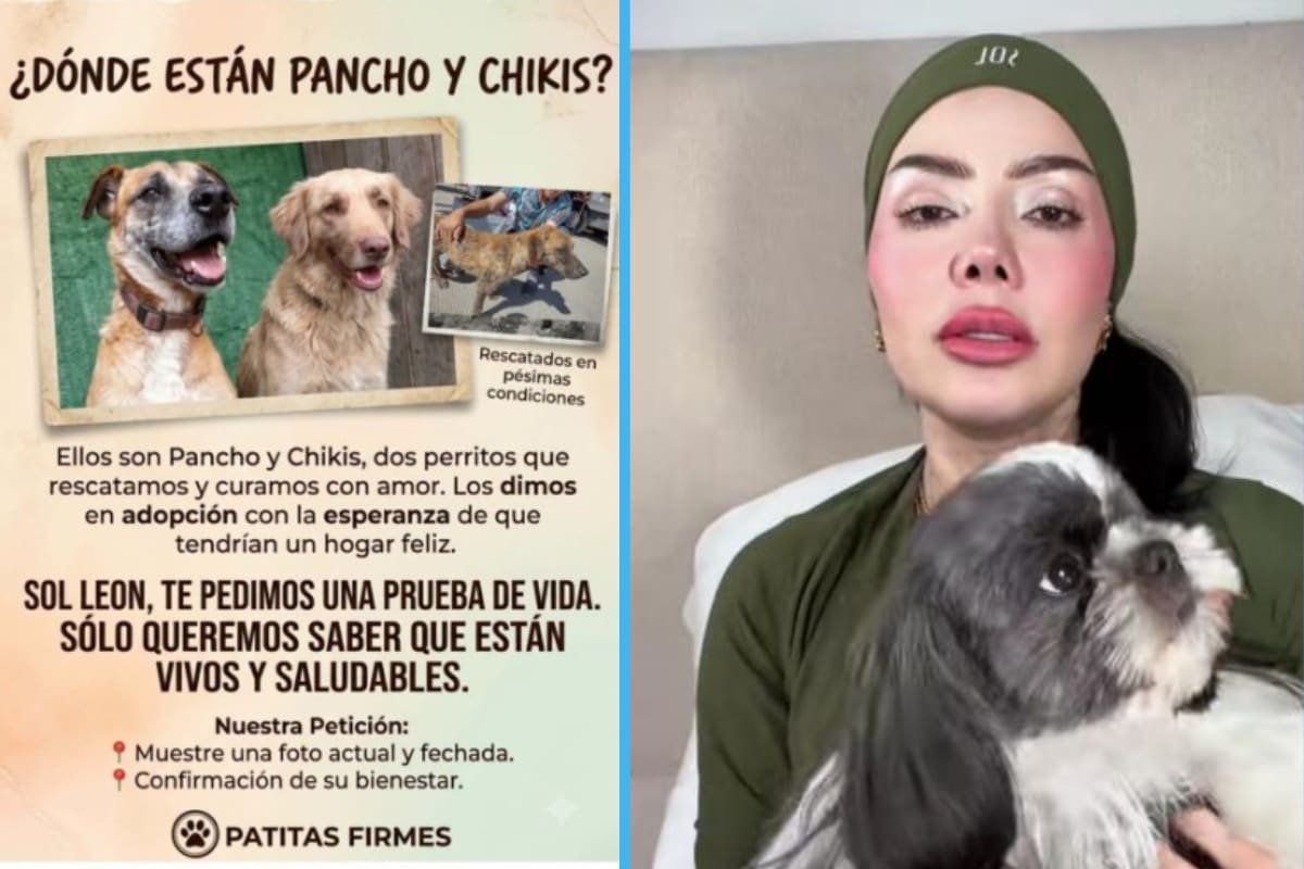 Crece controversia entre Sol León y “Patitas Firmes” por perros adoptados: Convocan a marcha pacífica en Tijuana