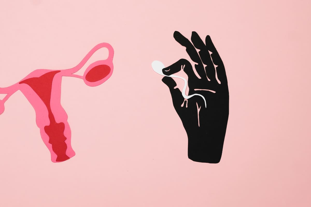 Nuevos avances en fertilización asistida ofrecen mejores opciones para la maduración in vitro de óvulos