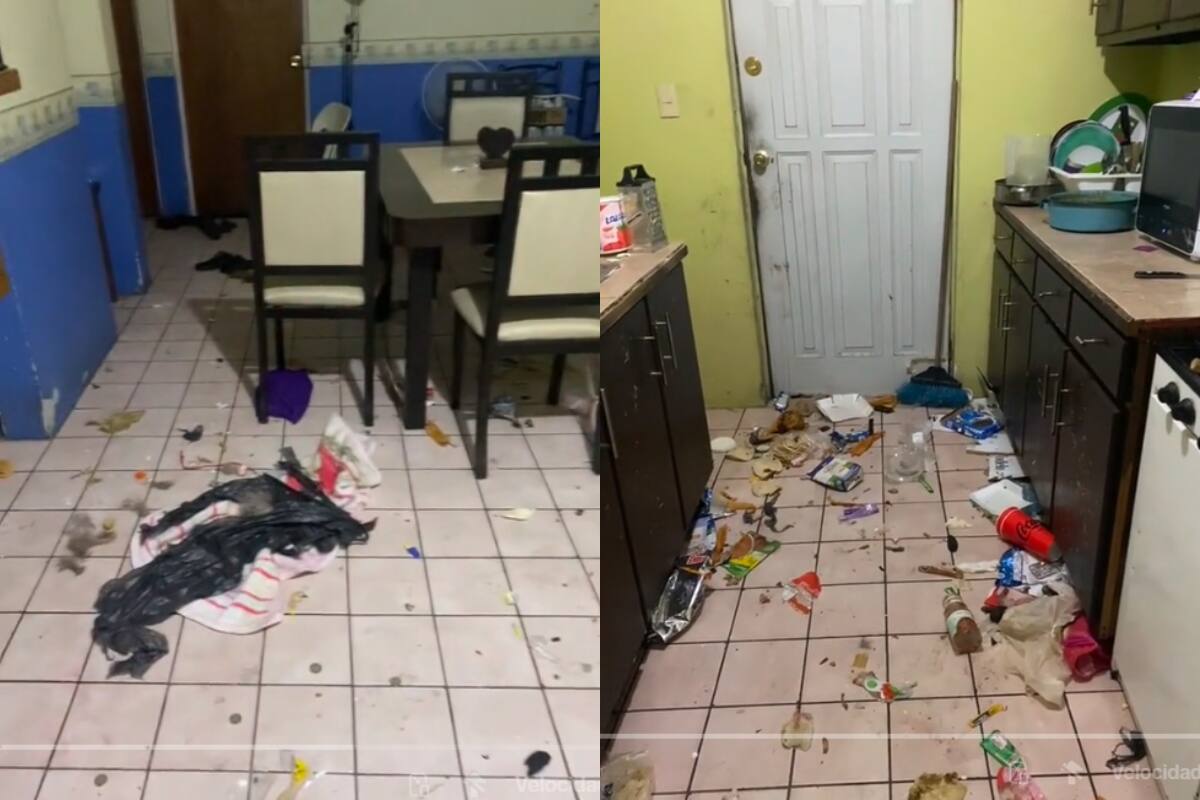 Deja a su husky todo un día encerrado y así encuentra su casa: en redes, lo critican