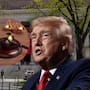 Trump pierde demanda contra Harvard: juez concluye que no probó violaciones continuas de derechos civiles contra estudiantes judíos e israelíes