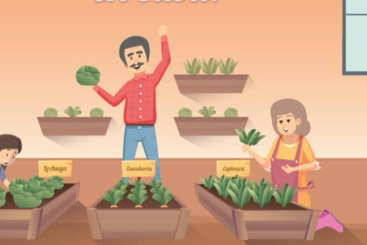 ¡Crea tu propio huerto de vegetales en casa!