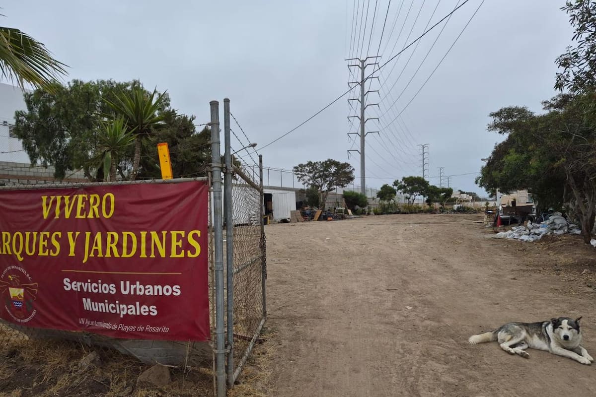 Entre basura y abandono, se marchita el primer vivero municipal de Rosarito