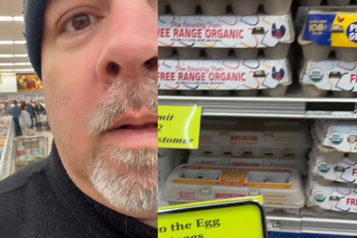 “Reviso todas las semanas”: Hombre expone la escasez de huevos en Estados Unidos
