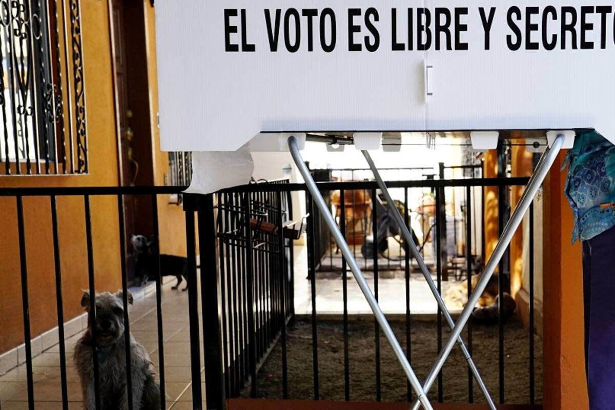 Diferencía entre voto válido y nulo