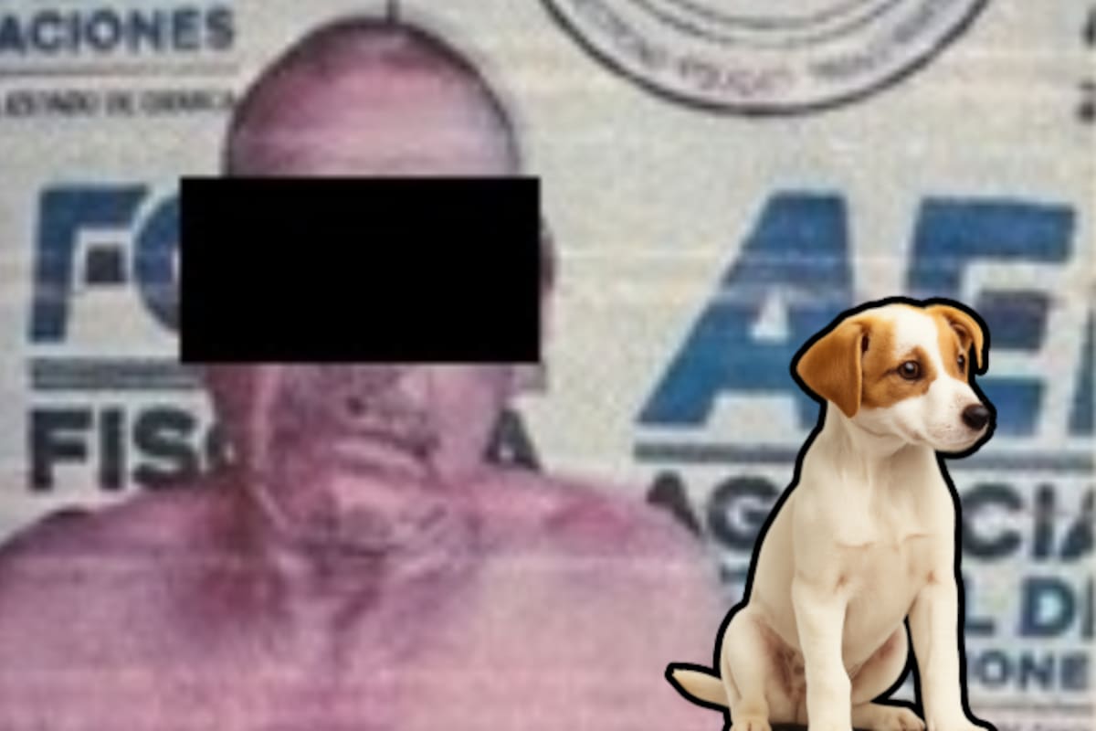 En Oaxaca un hombre es vinculado a proceso por abuso sexual animal tras ser sorprendido desnudo con una perrita dentro de un domicilio