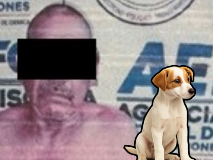 En Oaxaca un hombre es vinculado a proceso por abuso sexual animal tras ser sorprendido desnudo con una perrita dentro de un domicilio