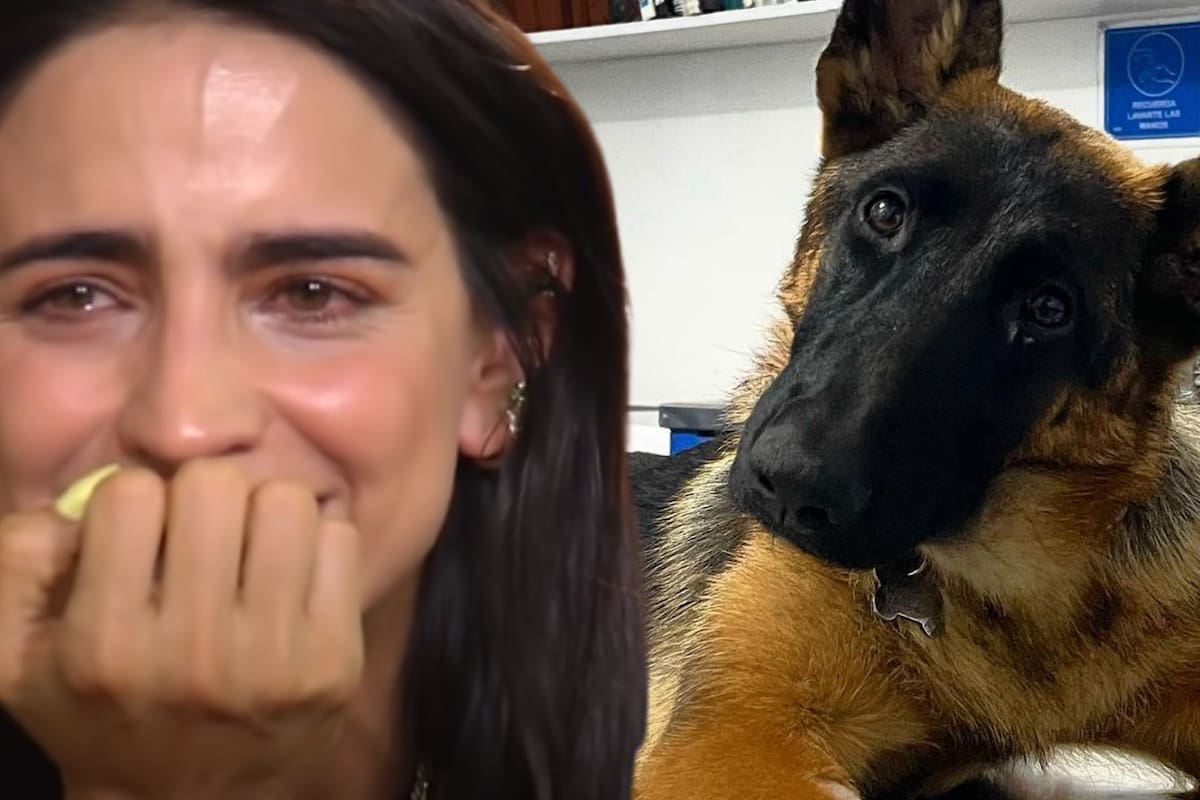 Bárbara de Regil recuerda a su mascota a un año de su muerte