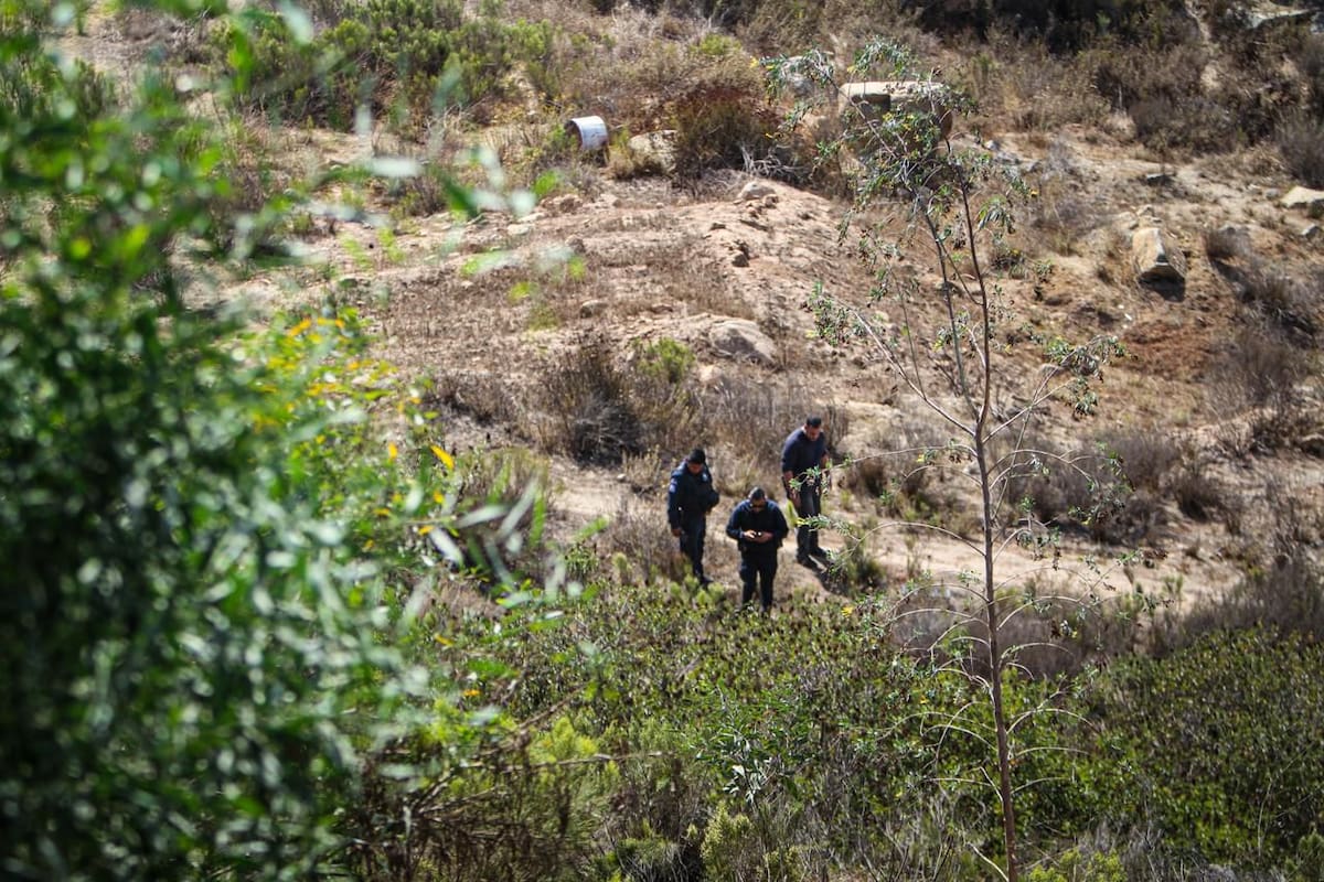 La ciudad de Tijuana concentra el mayor porcentaje de hogares que sufren inseguridad. Foto: Cortesía