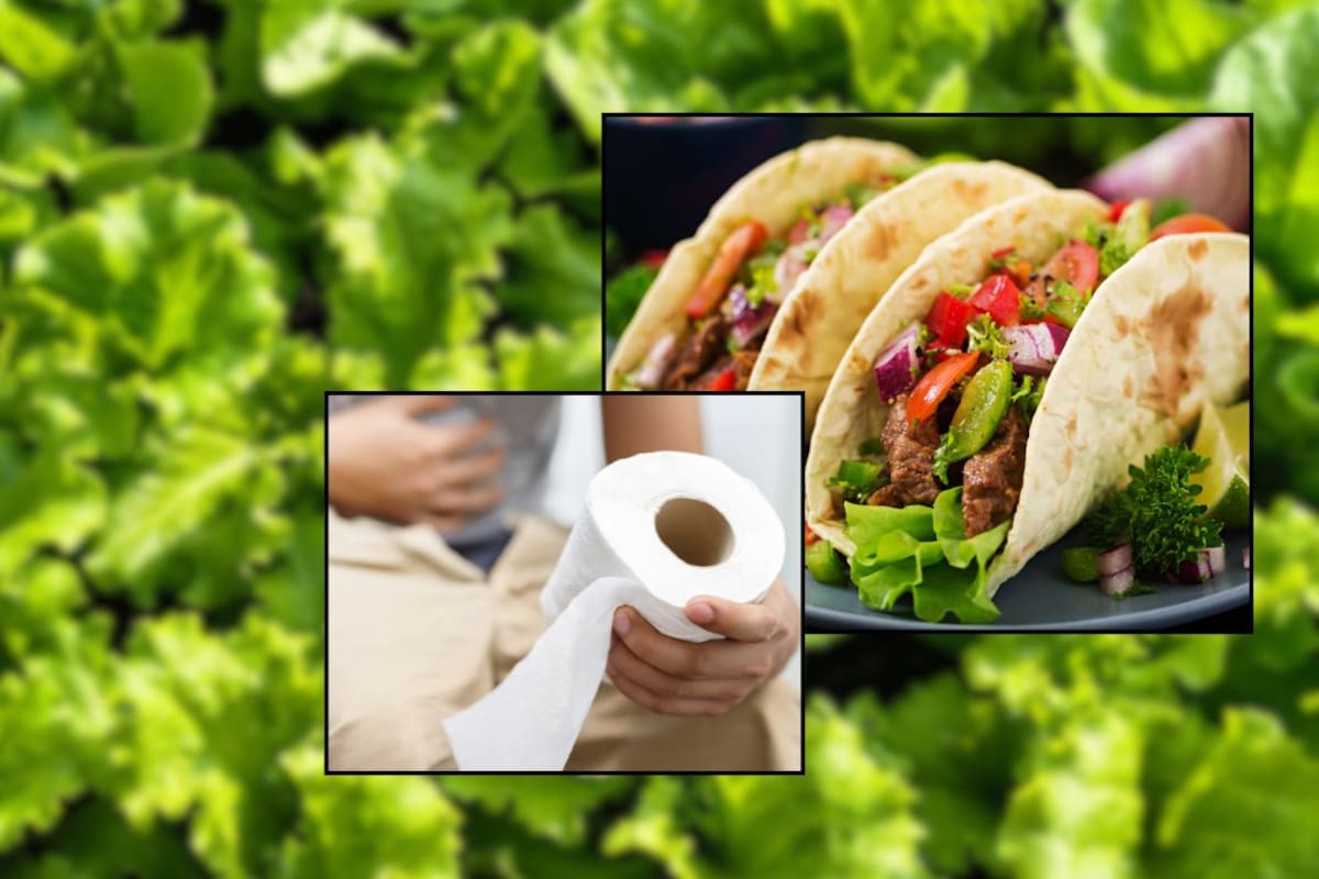 Brote de ciclosporiasis reduce las visitas a Taco Bell y desploma las ventas de lechuga en EEUU mientras investigan otras posibles fuentes de contagio