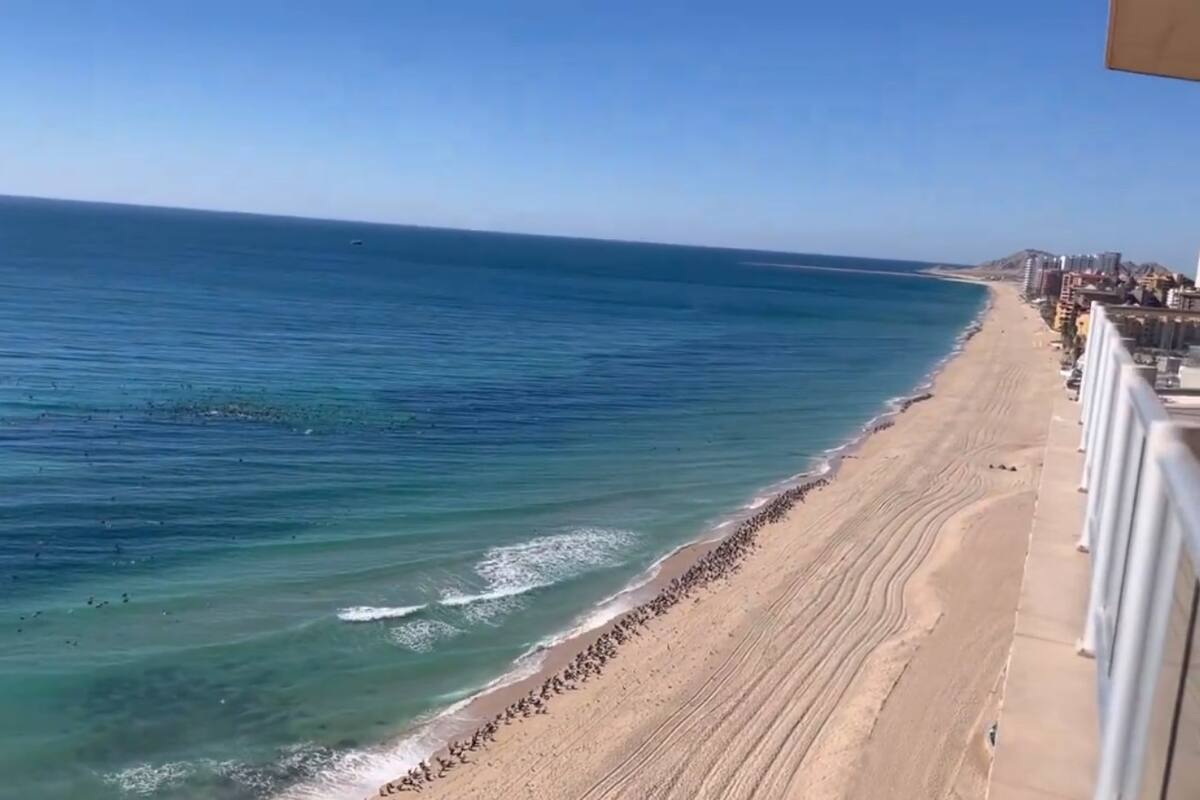 Fenómeno “La Niña” enfriará el agua del mar