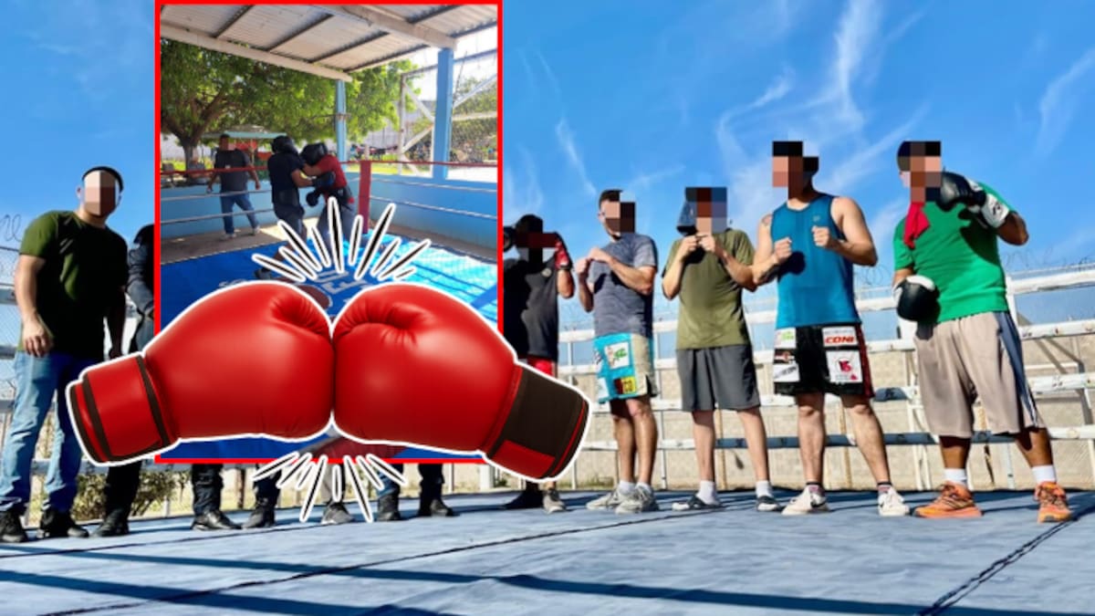 Puños por la reinserción: internos de Sinaloa suben al ring en el primer Torneo Nacional de Boxeo Penitenciario