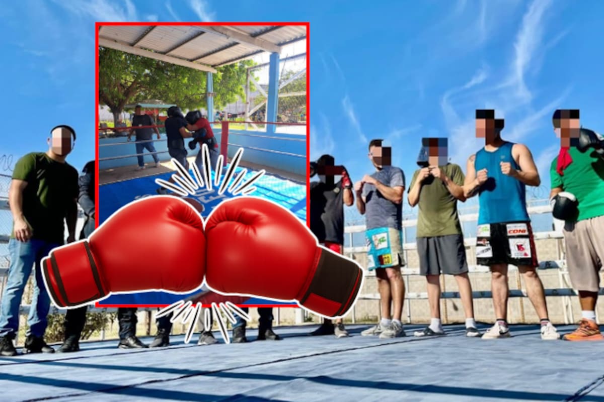 Puños por la reinserción: internos de Sinaloa suben al ring en el primer Torneo Nacional de Boxeo Penitenciario