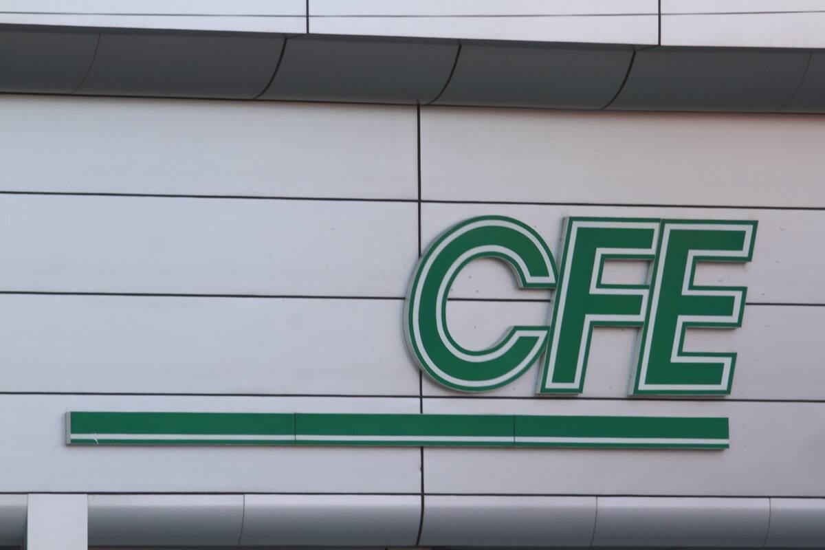 Empresas privadas controlan el 45% de la energía eléctrica del país