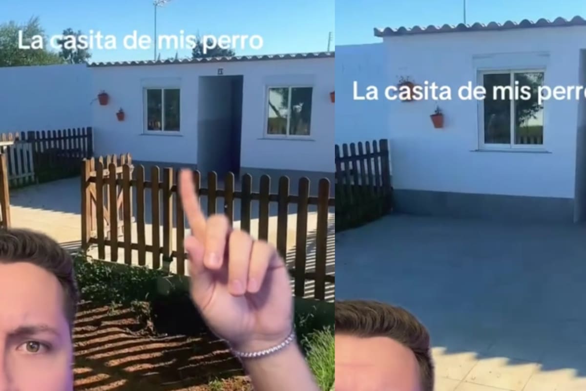 “Eso está más grande que mi casa del Infonavit”: Hombre se vuelve viral al mostrar la enorme casa donde viven sus perros