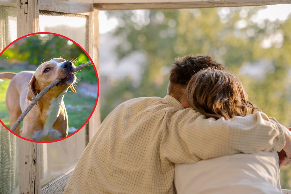 ¿Los millennials prefieren a sus mascotas sobre sus parejas? esto revela encuesta