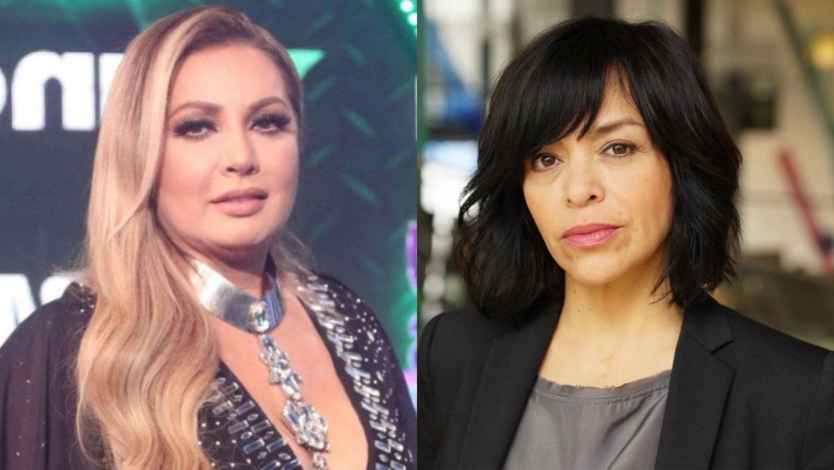 Paty Navidad sugiere que es Anabel Hernández quien tiene vínculos con el crimen organizado