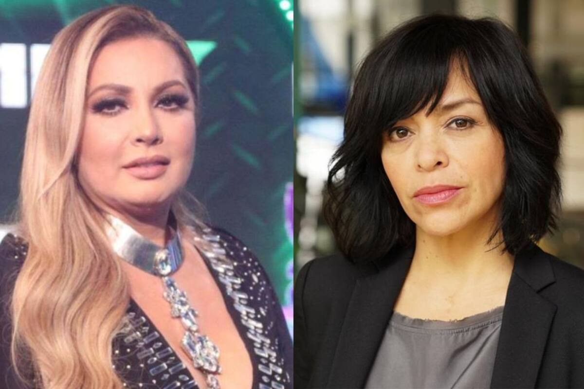 Paty Navidad sugiere que es Anabel Hernández quien tiene vínculos con el crimen organizado