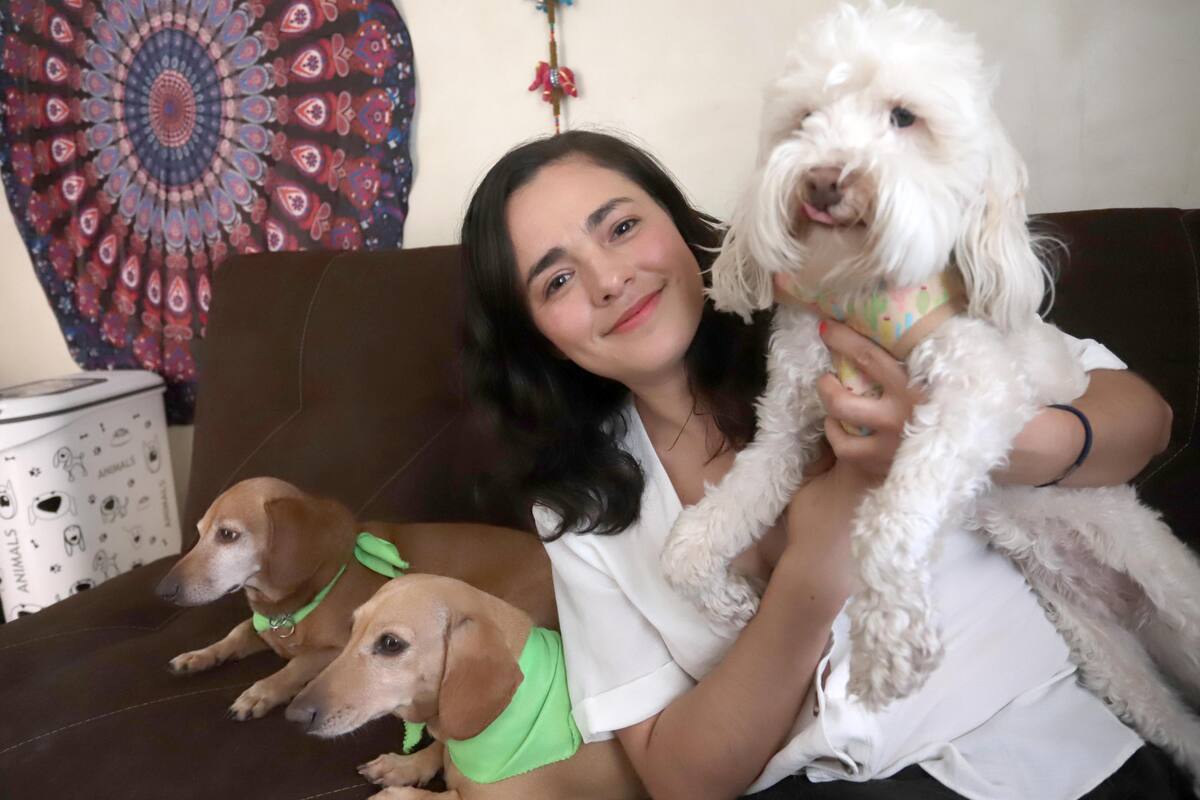 Familias interespecie: Cuando las mascotas son tus “perrhijos”