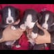 Realizan campaña de adopción de perros y gatos