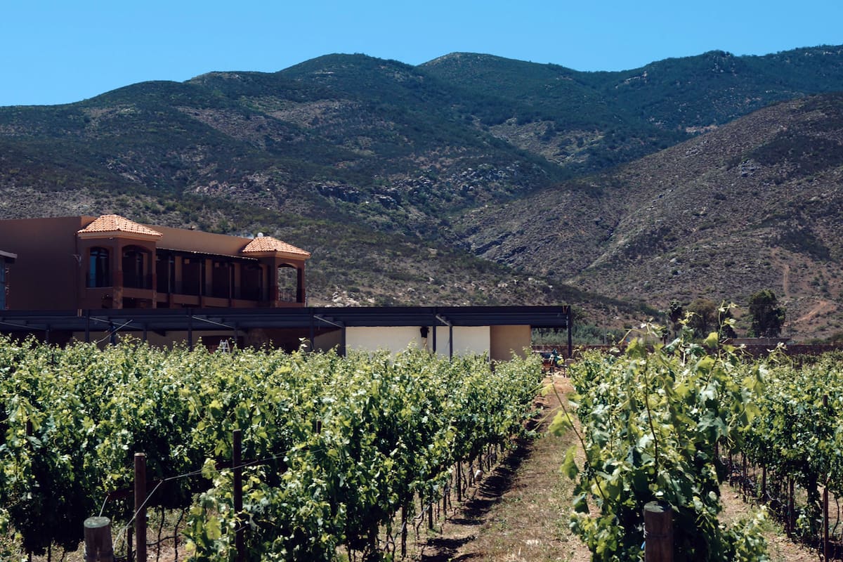 Denuncian supuestos tramitadores cobran por permisos en Valle de Guadalupe