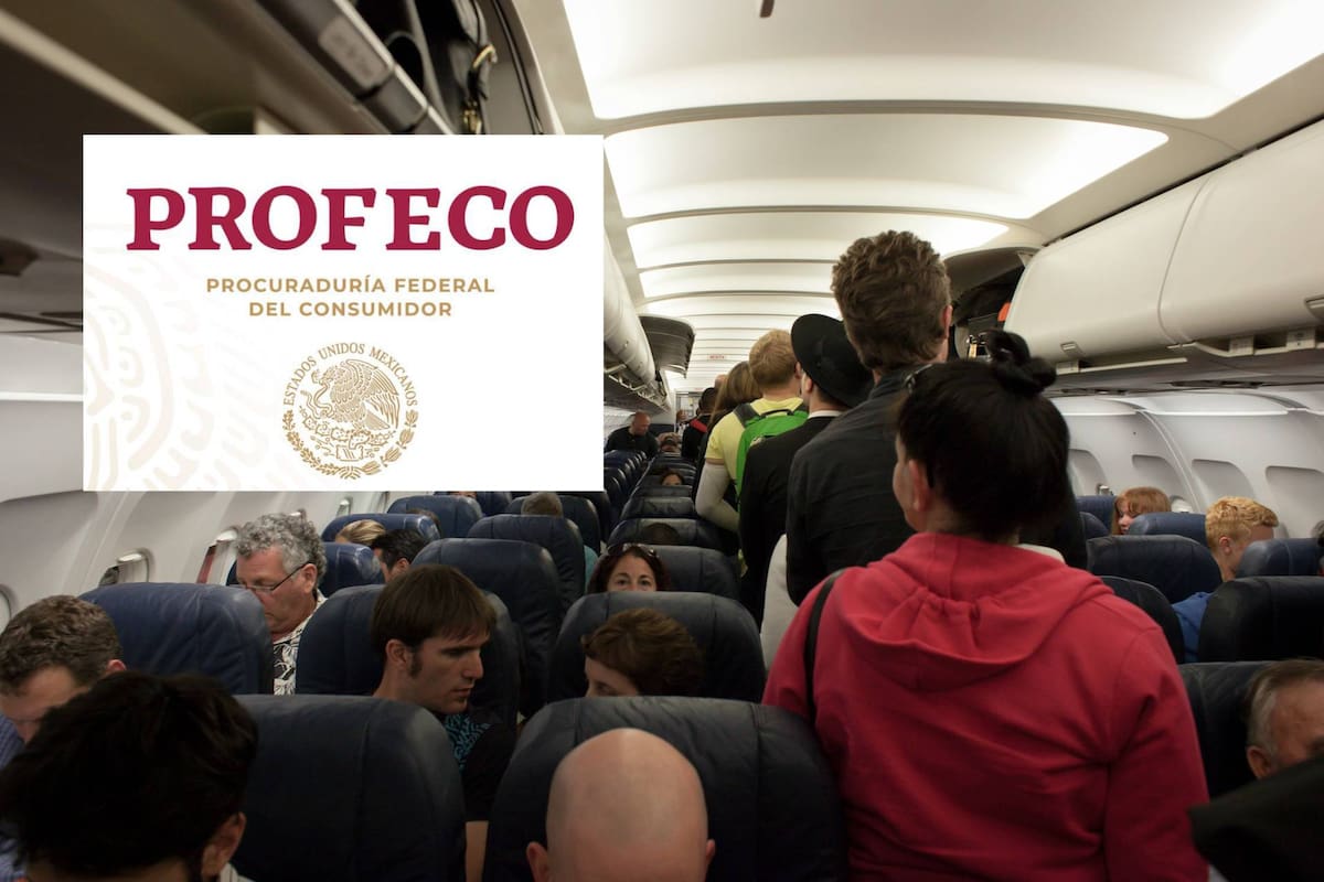 ¿Viajarás en avión en vacaciones de verano? Profeco recuerda los derechos de consumidores al tomar un vuelo