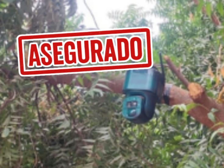 Hallan cámara con celda solar oculta en árbol de Navolato; presumen vigilancia del crimen organizado