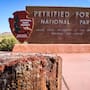 Arizona al natural: parques y aventuras imperdibles esta temporada