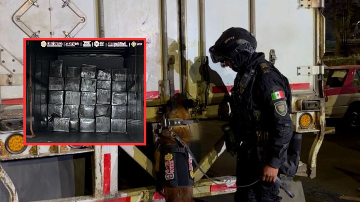 Más de 1,200 kilos de marihuana ocultos en cajas de huevo fueron asegurados en la alcaldía Álvaro Obregón; cuatro personas fueron detenidas