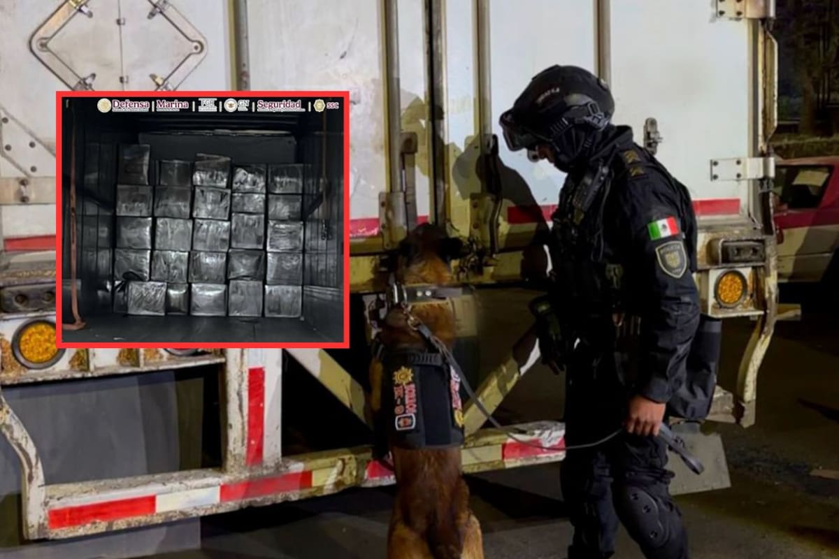 Más de 1,200 kilos de marihuana ocultos en cajas de huevo fueron asegurados en la alcaldía Álvaro Obregón; cuatro personas fueron detenidas