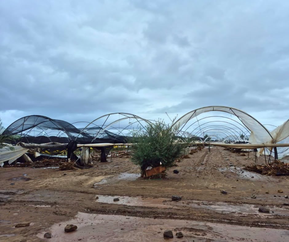 La tormenta Rachel inundó parcelas y dañó infraestructura agrícola en Maneadero, donde productores reportan pérdidas millonarias. Foto: Cortesía