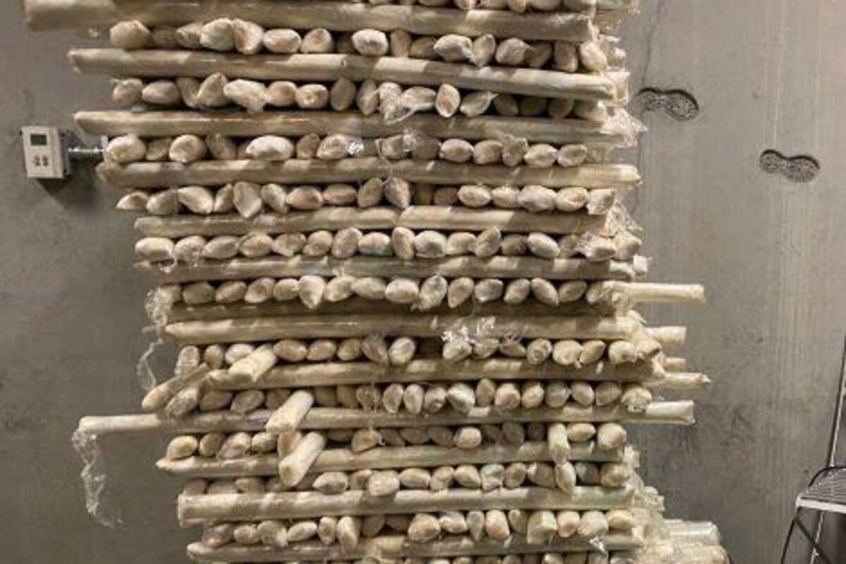 Cae en Nogales el decomiso más grande de metanfetaminas en la historia de las garitas de Arizona