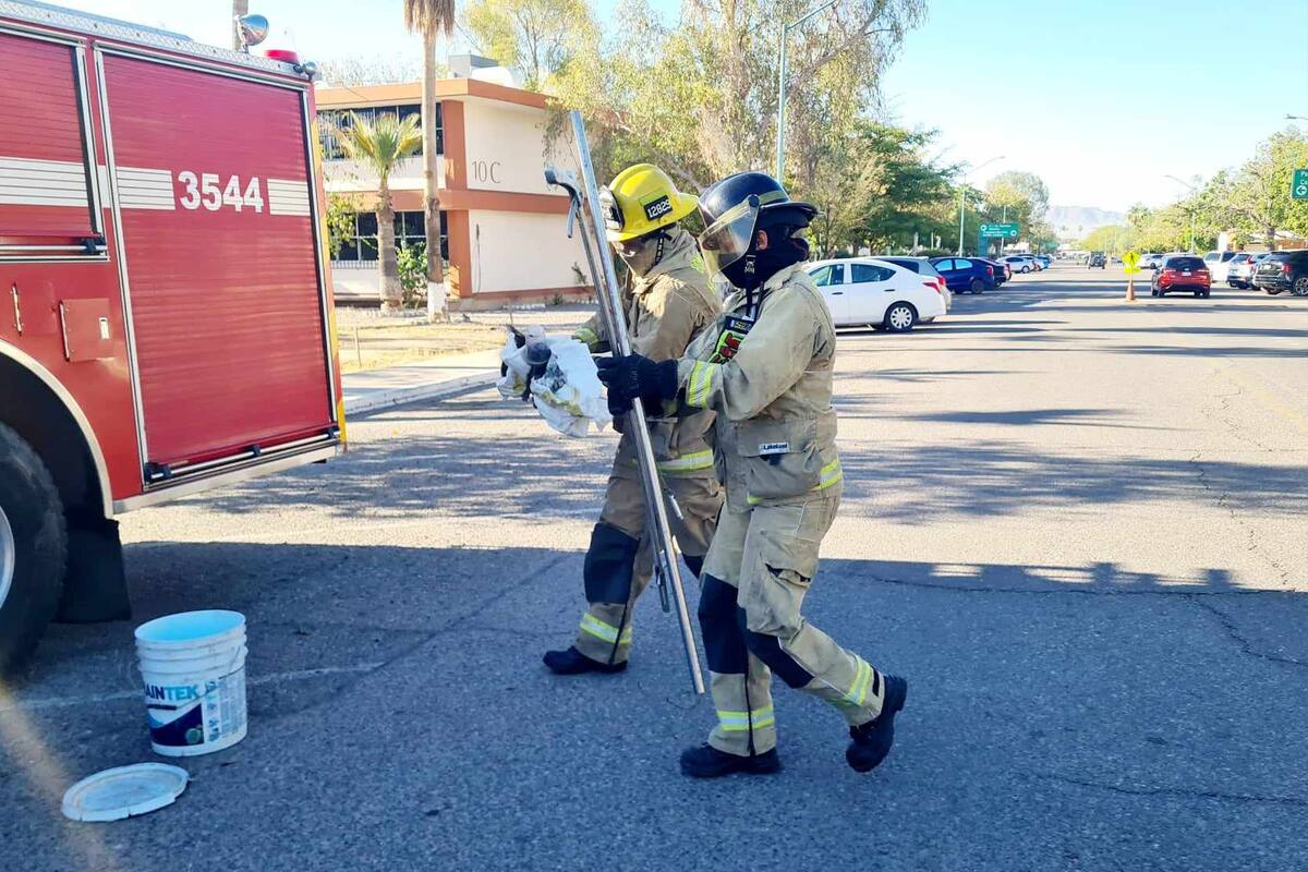 Bomberos de Hermosillo atiende más casos de retiro y rescate de animales
